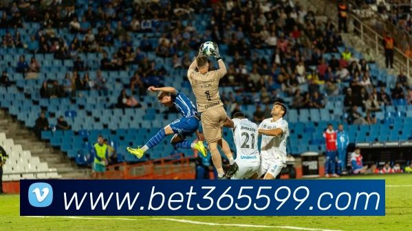 bet365中国官网发展历程